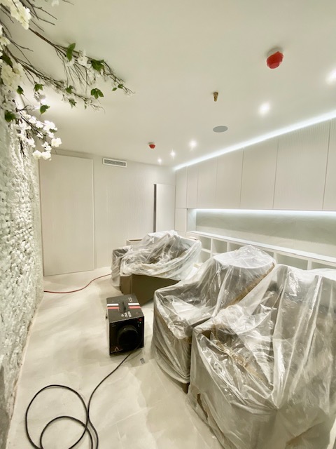 Reforma Enconcreto Proyectos YOY Madrid