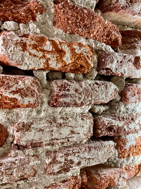 Reforma Enconcreto Proyectos YOY Ladrillo